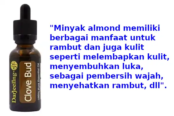 Minyak Almond di Alfamart: Ada Apa Enggak Ya? 2 manfaat minyak almond