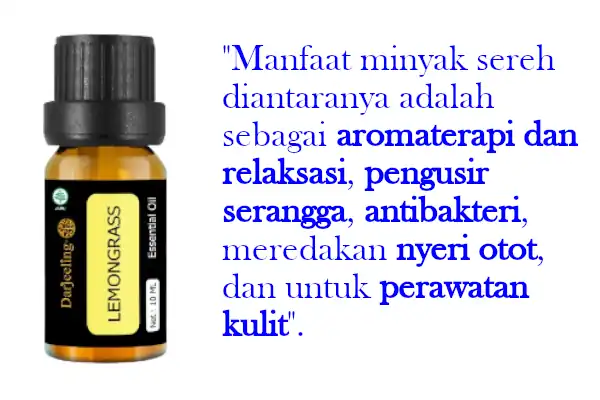 7 Minyak Sereh di Alfamart Untuk Berbagai Perawatan Kulit 2 manfaat minyak sereh