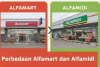 perbedaan-alfamart-alfamidi perbedaan alfamart dan alfamidi